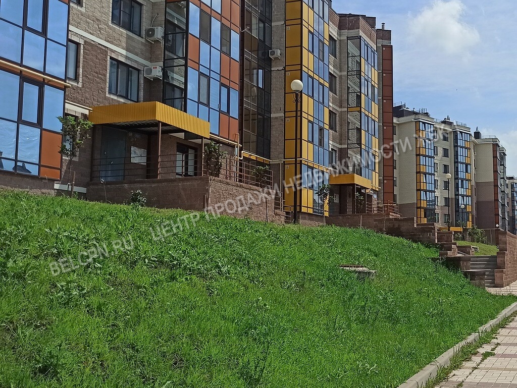 улитка